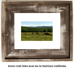 horse trail rides near me in Martinez, California